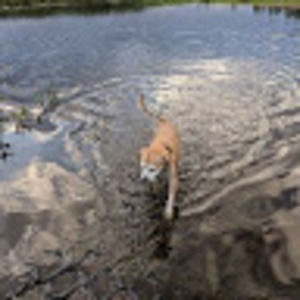 Meet your Posher, Lexie